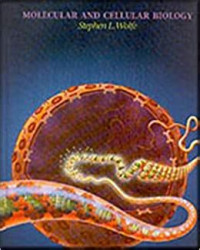 Image of MOLECULAR AND CELLURAR BIOLOGY